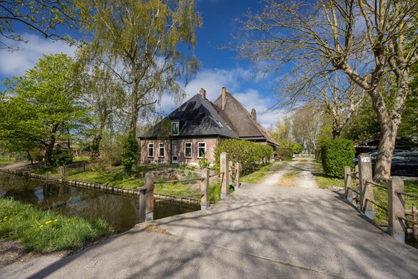 FotovanDana-Wollegras 77-1.jpg